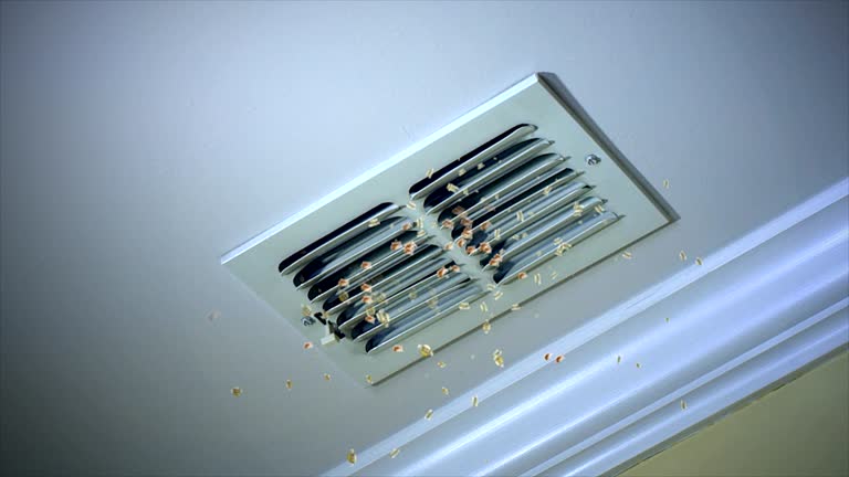 Best Ventilation Cleaning Services  in Middletown, MD