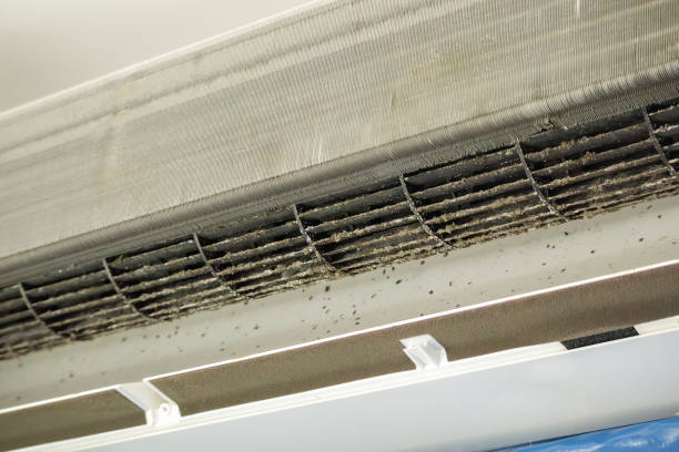 Best Local Air Duct Cleaning Services  in Middletown, MD